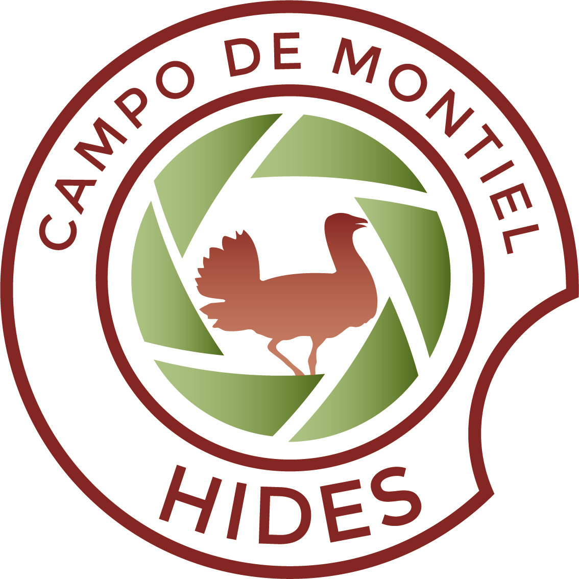 Hides Campo de Montiel